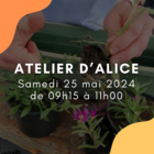 Atelier d'Alice - sur inscription