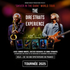 Concert The Dire Straits Experience